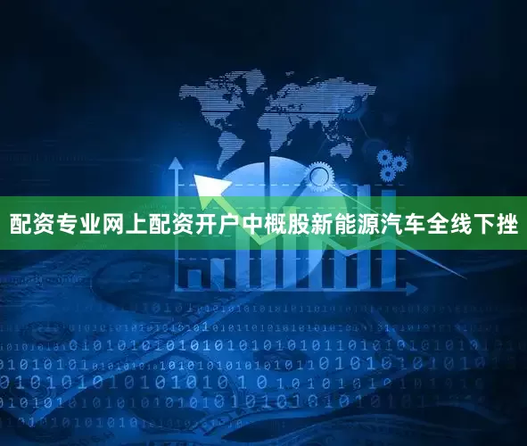 配资专业网上配资开户中概股新能源汽车全线下挫