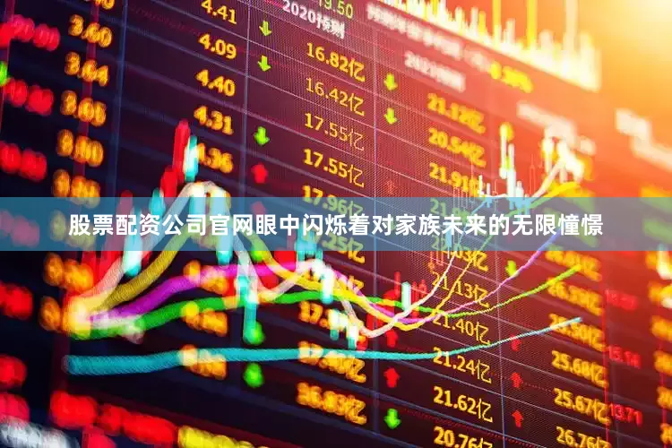 股票配资公司官网眼中闪烁着对家族未来的无限憧憬