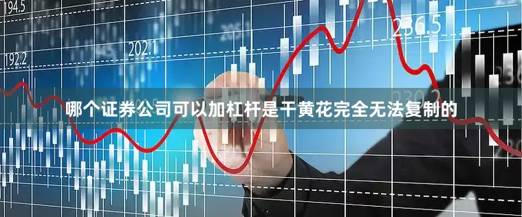 哪个证券公司可以加杠杆是干黄花完全无法复制的