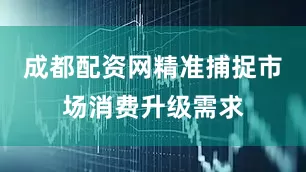 成都配资网精准捕捉市场消费升级需求