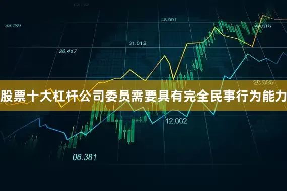 股票十大杠杆公司委员需要具有完全民事行为能力