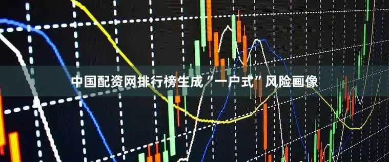 中国配资网排行榜生成“一户式”风险画像