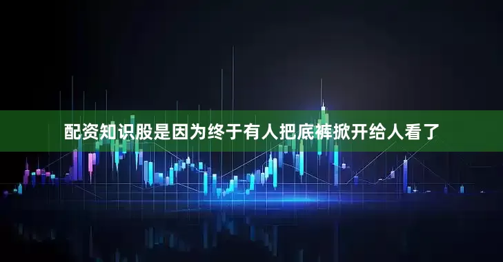 配资知识股是因为终于有人把底裤掀开给人看了