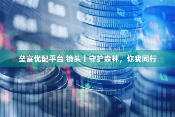 垒富优配平台 镜头丨守护森林，你我同行