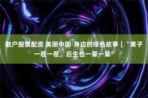 散户股票配资 美丽中国·身边的绿色故事｜“果子一茬一茬，后生也一辈一辈”